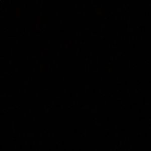 Meet your Posher, Eboni